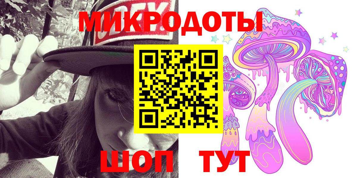 Галлюциногенные грибы Psilocybe Лесозаводск
