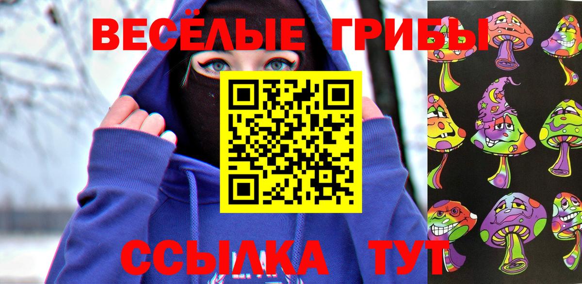 Псилоцибиновые грибы Psilocybine cubensis  Вход с VPN  Лесозаводск 
